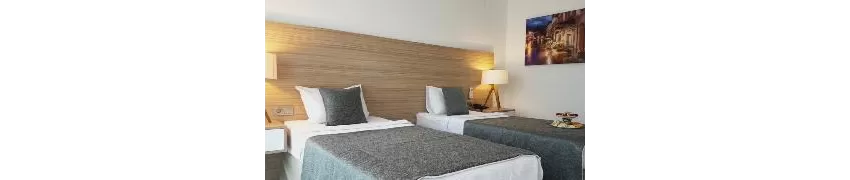 Ozyigit Hotel 3*-45