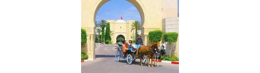 Mahdia Palace Thalasso 5*-21