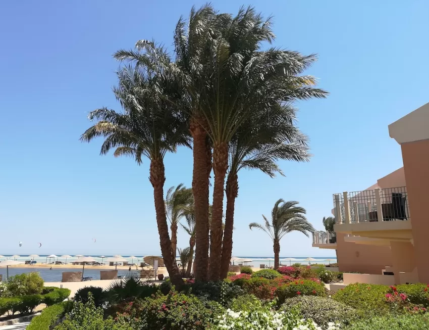 Mövenpick Resort & Spa El Gouna 5*-37