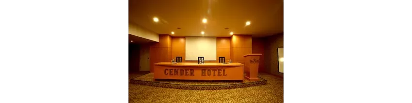 Cender Hotel 4*-160