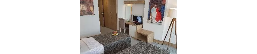 Ozyigit Hotel 3*-42