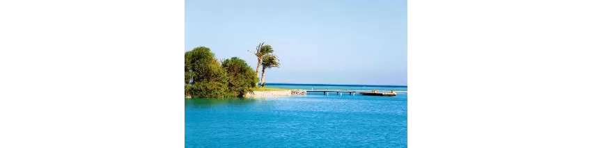 Movenpick Resort And Spa El Gouna 5*-23