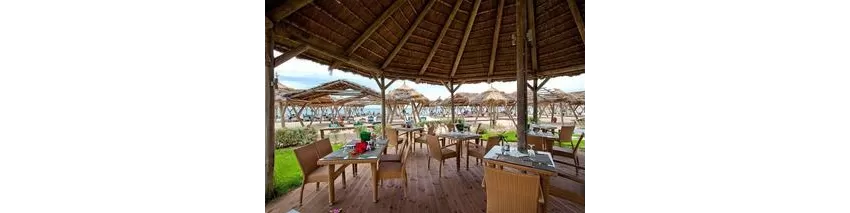 The Orangers Beach Resort & Bungalow 4*-20