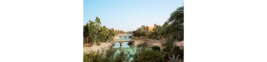 Sheraton Miramar Resort (El Gouna) 5*-136