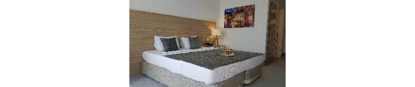 Ozyigit Hotel 3*-29