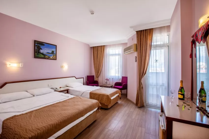 Ergun Hotel  3*-8