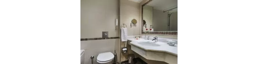 Bellis Deluxe Hotel 5*-10