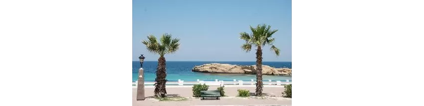 Delphin Ribat Hotel Monastir 3*-30