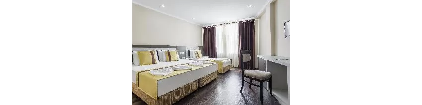 Ayhan Hotel 3*-31