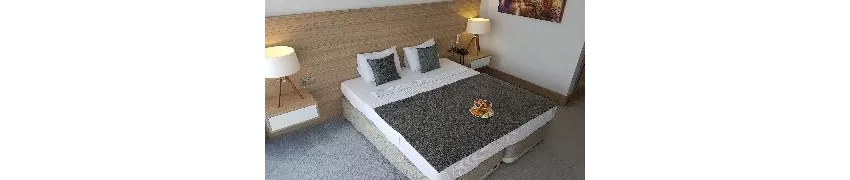 Ozyigit Hotel 3*-33